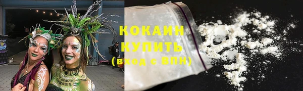 ГАЛЛЮЦИНОГЕННЫЕ ГРИБЫ Сатка