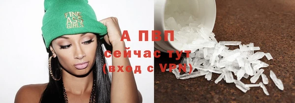 спиды Верея