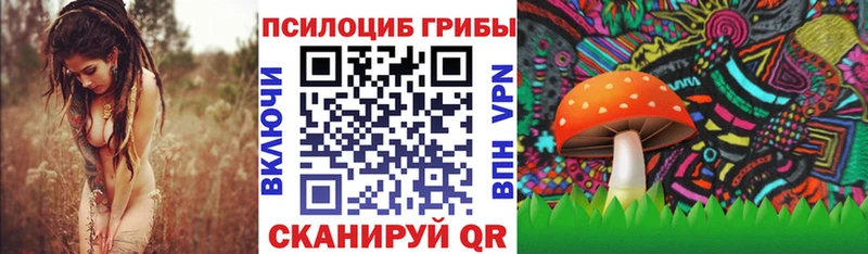 купить наркоту  Горно-Алтайск  mega tor  Галлюциногенные грибы GOLDEN TEACHER 